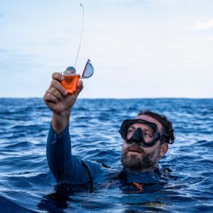 33a9844 1200×800 33a9844 1200x800