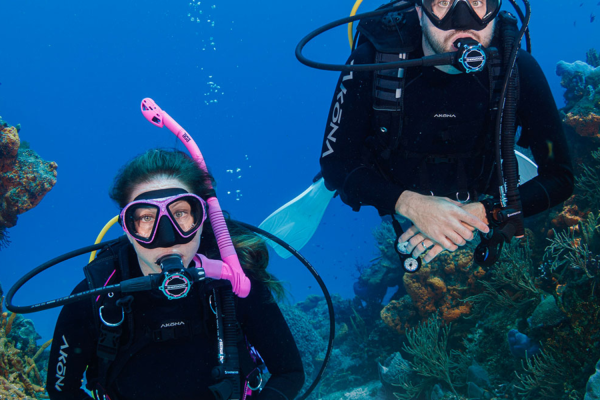 dive expedition dive expedition