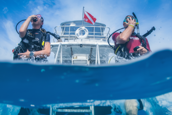 dive insurance dive insurance