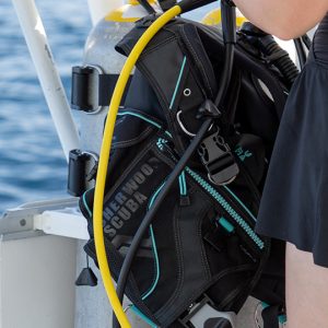 home trending luna home trending luna